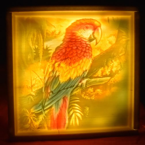 Colour Lithophane - Customize with your own Photo and Text - Image 5