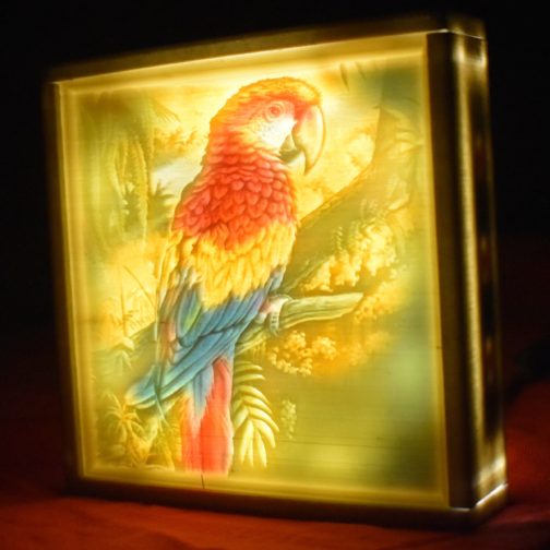 Colour Lithophane - Customize with your own Photo and Text - Image 9